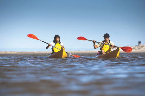 Kangaroo Island Self-Guided Kayaking On The Harriet River - Accommodation Port Hedland 2