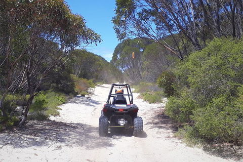 Kangaroo Island Quad Bike (ATV) Tours - Accommodation Port Hedland 4