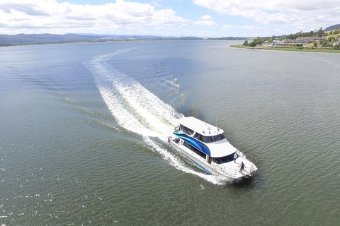 2.50 Hour Afternoon Discovery Cruise Including Cataract Gorge Departing At 3 Pm - Accommodation Port Hedland 0