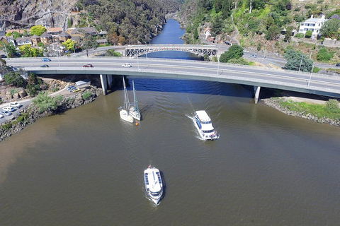 2.50 Hour Afternoon Discovery Cruise Including Cataract Gorge Departing At 3 Pm - Accommodation Port Hedland 1
