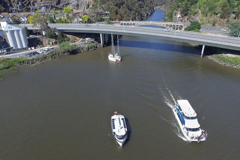 2.50 Hour Afternoon Discovery Cruise Including Cataract Gorge Departing At 3 Pm - Accommodation Port Hedland 3