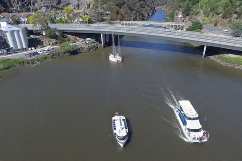 2.50 Hour Afternoon Discovery Cruise Including Cataract Gorge Departing At 3 Pm - Accommodation Port Hedland 5