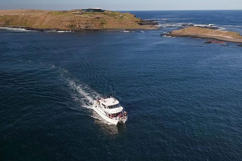 Phillip Island Seal-Watching Cruise - Accommodation Port Hedland 1