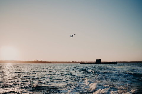 Phillip Island Twilight Cruise - Accommodation Port Hedland 1