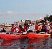 Brisbane River Guided Evening Tour by Kayak - Our Most Popular Tour - Accommodation Port Hedland