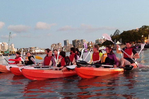 Brisbane River Guided Evening Tour By Kayak - Our Most Popular Tour - Accommodation Port Hedland 0