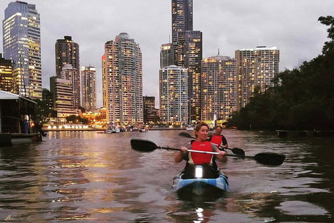 Brisbane River Guided Evening Tour By Kayak - Our Most Popular Tour - Accommodation Port Hedland 3