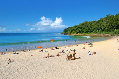 Noosa Everglades Serenity Cruise & Highlights Tour Inc. Lunch & Cruise - Accommodation Port Hedland 4