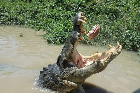 Litchfield And Jumping Crocodiles Full Day Trip From Darwin - Accommodation Port Hedland 3