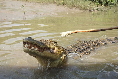 Litchfield And Jumping Crocodiles Full Day Trip From Darwin - Accommodation Port Hedland 4
