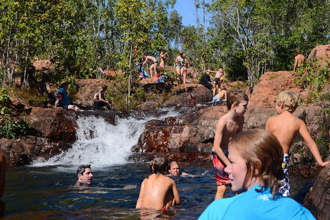 Litchfield And Jumping Crocodiles Full Day Trip From Darwin - Accommodation Port Hedland 5