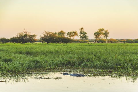 Yellow Water Cruise - Kakadu - Accommodation Port Hedland 3