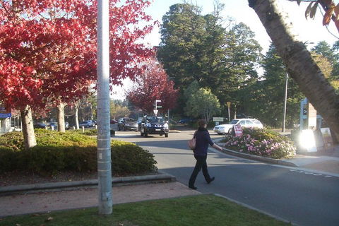 PRIVATE All-Day Blue Mountains Tour With Professional Guide For Up To 4 People - Accommodation Port Hedland 1