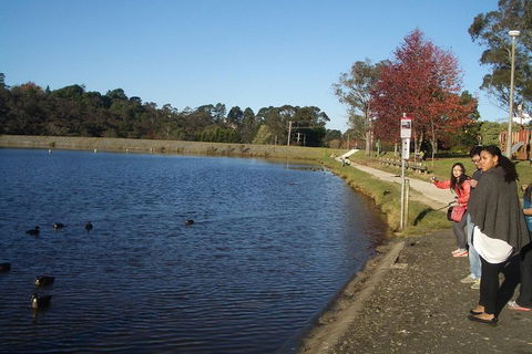 PRIVATE All-Day Blue Mountains Tour With Professional Guide For Up To 4 People - Accommodation Port Hedland 2