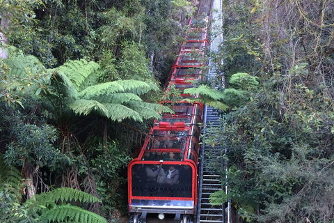 Blue Mountains Private Full-Day Tour From Sydney With Cruise - Accommodation Port Hedland 5
