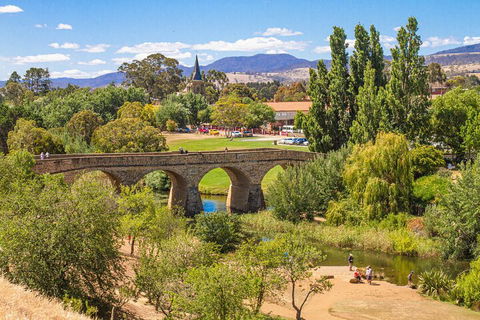 Wineglass Bay & Freycinet NP Full Day Tour From Hobart Via Richmond Village - Accommodation Port Hedland 4