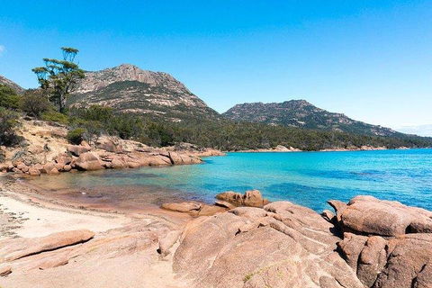 Wineglass Bay & Freycinet NP Full Day Tour From Hobart Via Richmond Village - Accommodation Port Hedland 5