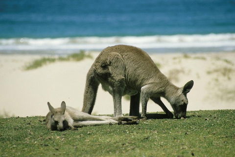 Great Ocean Road Highlights Tour - 2 Days, 1 Night - Accommodation Port Hedland 2