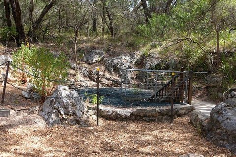 Ngilgi Cave Semi-guided Tour - Accommodation Port Hedland 4