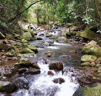 Springbrook Full Day Tour - Accommodation Port Hedland