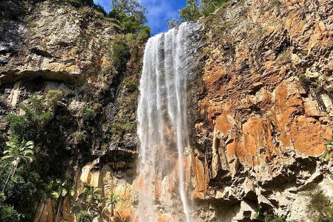 Springbrook Full Day Tour - Accommodation Port Hedland 2