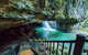 Springbrook Full Day Tour - thumb 4