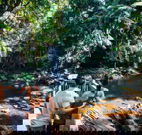 Aquaduck  Your choice of Gold Coast Rainforest Tour - Accommodation Port Hedland