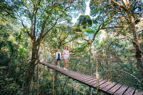 Aquaduck & Your Choice Of Gold Coast Rainforest Tour - Accommodation Port Hedland 4