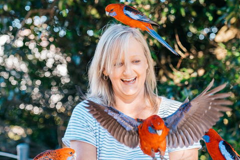 Aquaduck & Your Choice Of Gold Coast Rainforest Tour - Accommodation Port Hedland 5