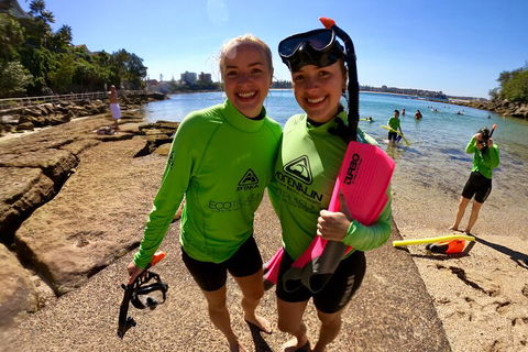Manly Snorkel Trip And Nature Walk With Local Guide - Accommodation Port Hedland 1