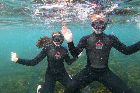 Manly Snorkel Trip And Nature Walk With Local Guide - Accommodation Port Hedland 3