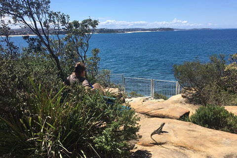 Manly Snorkel Trip And Nature Walk With Local Guide - Accommodation Port Hedland 4