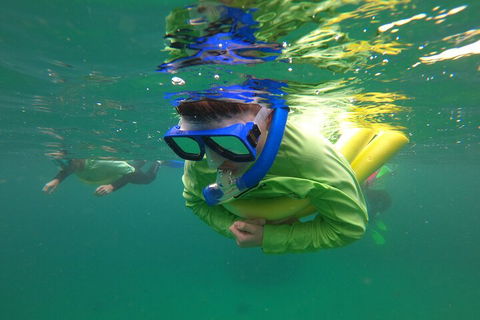 Manly Snorkel Trip And Nature Walk With Local Guide - Accommodation Port Hedland 5