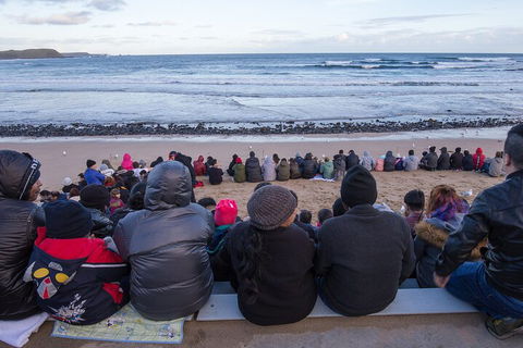 Healesville Sanctuary And Phillip Island Wildlife Bus Tour - Accommodation Port Hedland 1