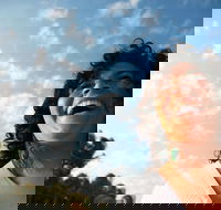 Hinterland Magic  Glow-worm Experience - Accommodation Port Hedland