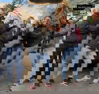 Guided Walking Tour in Adelaide - Accommodation Port Hedland