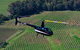 Hunter Valley Wine Country Helicopter Flight From Cessnock - thumb 3