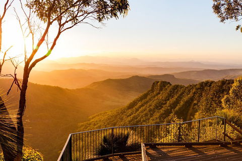 O'Reilly's & Lamington National Park Incl. Alpaca Farm + Vineyard - Accommodation Port Hedland 0