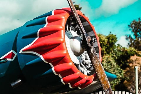 O'Reilly's & Lamington National Park Incl. Alpaca Farm + Vineyard - Accommodation Port Hedland 1