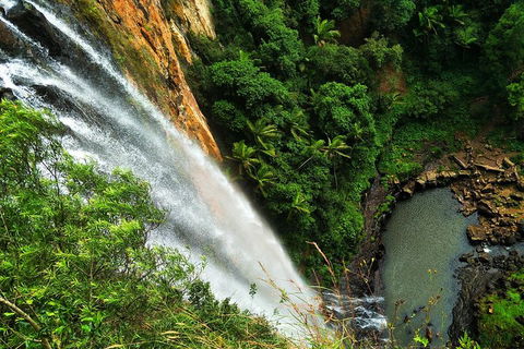 Natural Arch, Rainforest & Volcano Canyon - Private Half Day Tour - Accommodation Port Hedland 5