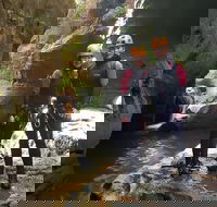 Blue Mountains Empress Canyon Adventure from Wentworth Falls - Accommodation Port Hedland