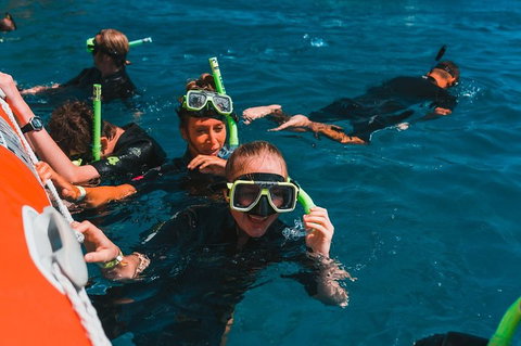 Whitehaven Beach And Hill Inlet Lookout Full-Day Snorkeling Cruise By High-Speed Catamaran - Accommodation Port Hedland 3