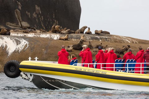 Wilsons Promontory Wilderness Cruise From Tidal River - Accommodation Port Hedland 1