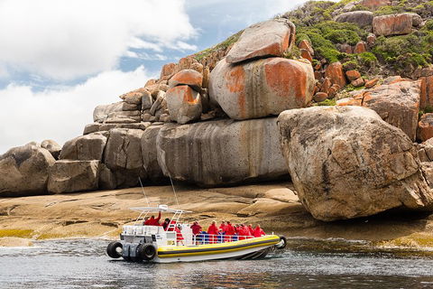 Wilsons Promontory Wilderness Cruise From Tidal River - Accommodation Port Hedland 4