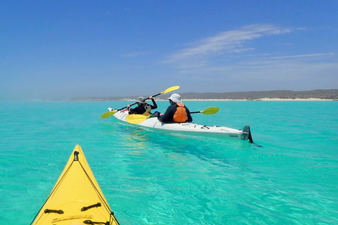 Lagoon Explorer - Ningaloo Reef Full-Day Kayaking And Snorkeling Adventure - Accommodation Port Hedland 0