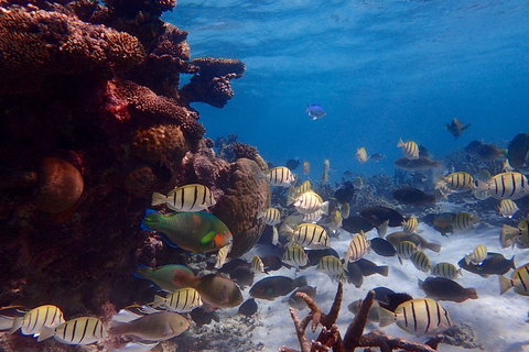 Lagoon Explorer - Ningaloo Reef Full-Day Kayaking And Snorkeling Adventure - Accommodation Port Hedland 2