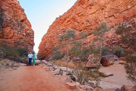 Best Of Alice Springs Full Day Tour - Accommodation Port Hedland 1