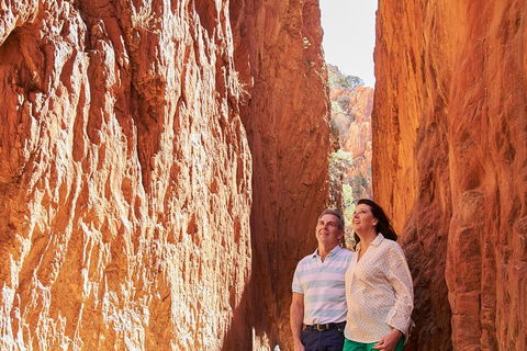 Best Of Alice Springs Full Day Tour - Accommodation Port Hedland 4