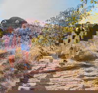 Kings Canyon Day Trip from Ayers Rock Uluru - Accommodation Port Hedland