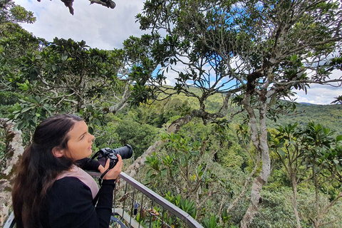 Lamington National Park, O'Reilly's & Vineyard Tour - Accommodation Port Hedland 1
